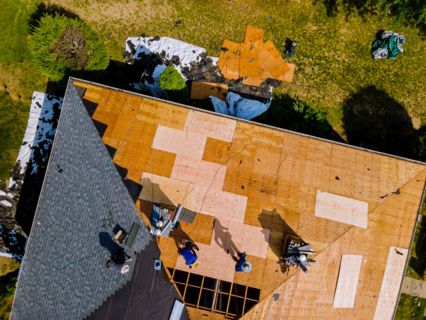 Best Metal Roofing Contractor  in Eagar, AZ